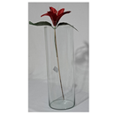 Kit vaso tubo de vidro cilíndrico decorativo 21 e 18cm arranjo flores decoração