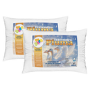 Kit Travesseiro Pluma de Ganso Confortavel e Macio Antiacaro 70x50cm