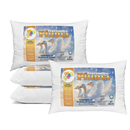 Kit Travesseiro Pluma de Ganso Confortavel e Macio Antiacaro 70x50cm